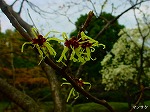 20070309 08.jpg